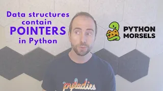 Data structures contain pointers in Python