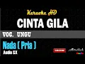Lagu UNGU - CINTA GILA KARAOKE LIRIK | NADA PRIA