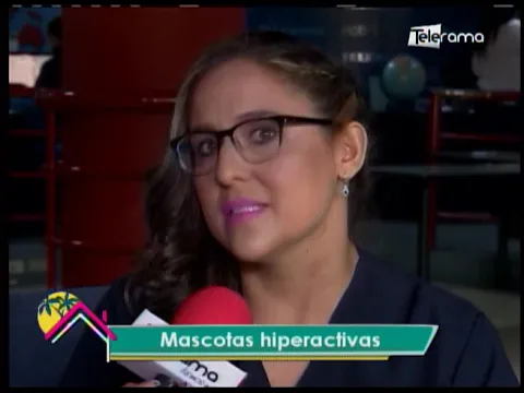 Mascotas hiperactivas