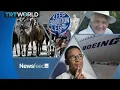 MMS warnings Boeing sued Goats eating stuff - Newsfeed
