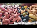 The at Windsor Mo