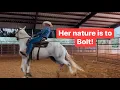 Download Lagu Making a Risky Move on an Unpredictable Horse