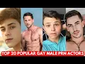 Top 20 Popular Gay Male Porn Actors
