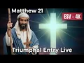 Matthew 21 ESV Chapter by Chapter The Triumphal Entry Beautiful Forests 4K