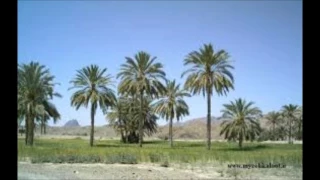 چاکر ء عالی ء شعر وش گوش قادربخش بلوچ 