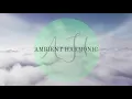 Jody Wisternoff - Morning U (Izhevski Ruvenzori Extended Mix)