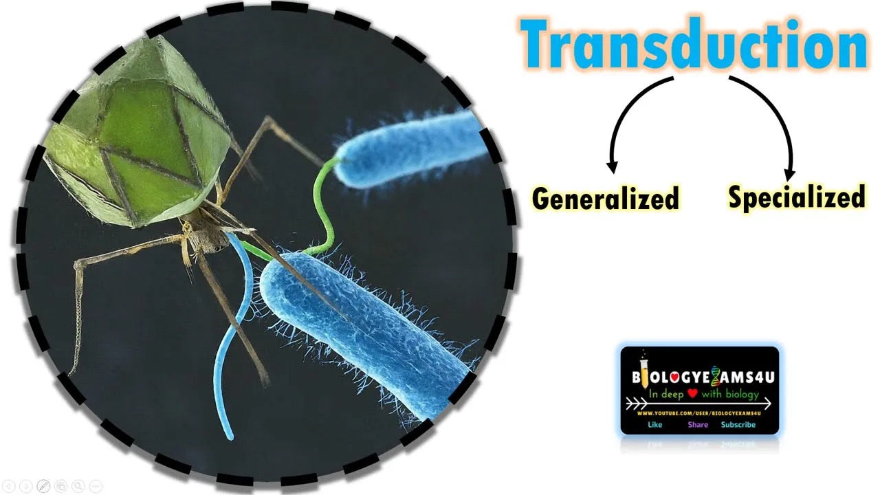 Transduction in Bacteria| Difference between Generalized and Specialized transduction