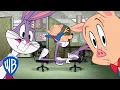 Download Lagu Looney Tunes | Bugs and Porky at Work | WB Kids