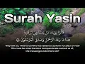 Download Lagu Surah Yasin | Recitation of Clear Admonitions (تلاوة المواعظ الواضحة)