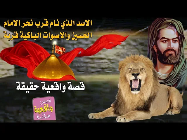 ⁣قصة واقعية عن الحسين سوف تقشعر بدنك الاسد الذي نام قرب نحر الامام الحسين والاصوات الباكية قربة