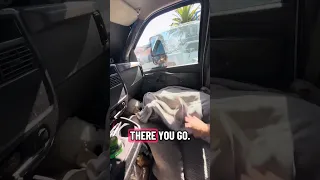 #fyp #dream #youtube #doberman #pets