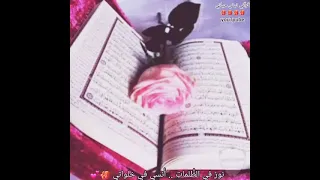 أنشوده دينه نور  ملأ القلب  ففاض بحب كتاب الله حالات  اذكروني بدعوة قرآني نبض حياتي دندنها