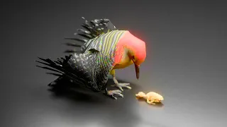Woodpeckers Are Metal