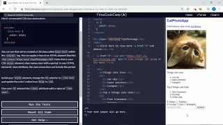 Basic CSS Use a CSS Class to Style an Element freeCodeCamp