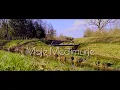 Serenity s Bridge Tranquil 4K Stream Confluence Relaxing Melodies for Peaceful Escape
