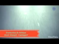 Bilal Saeed - Khair Mangdi (Unplugged)