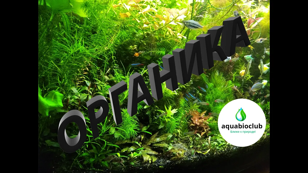 #Органика в #аквариуме. Что это и за чем это?