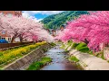 Download Lagu healing music for the heart and blood vessels 🌿 calms the nervous system and pleases the soul