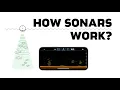 Everything You Need to Know About How Sonars Work