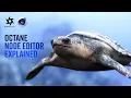 The Octane Render Node Editor Explained