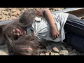 Download Lagu Rescued from the Railway Tracks – A 12-Year-Old’s Life-Changing Transformation