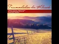 Lyric Pieces, Op. 47: V. Melancholy (Arr. for Flute and Harp)