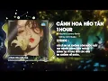 Download Lagu [1 HOUR] Cánh Hoa Héo Tàn cuộc tình cũng đã tan - Mochiii ( Style Huy PT ) | Có Lẽ Em Đã Không Còn