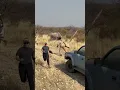 Download Lagu We Darted a Rhino… Then THIS Happened!#shorts