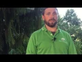 Introduction to Taylor s Trees Turf