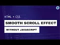 HTML Smooth Scroll Effect WITHOUT JavaScript Techy Pizza