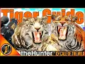 How to Hunt Tigers Locations Zones Times More theHunter Call of the Wild