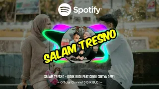 Download Salam Tresno - Didik Budi feat Cindi Cintya Dewi MP3