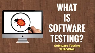 Mastering Essential Software Testing Techniques