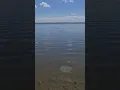 Shemale with the best 3rd leg