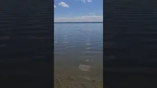 Shemale with the best 3rd leg