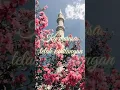 Download Lagu Cover Lagu Ku Coba Ungkap Tabir Ini💕