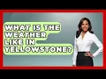 What Is The Weather Like In Yellowstone - Exploring Campgrounds