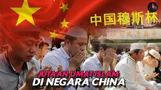 the lives of millions of muslims in china