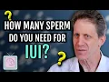 IUI - How many sperm do you need