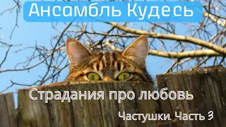 ЧАСТУШКИ СТРАДАНИЯ ПРО ЛЮБОВЬ Ансамбль Кудесь частушка кот котики деревня 