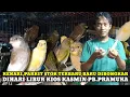 Download Lagu BONGKARAN BURUNG KENARI,PARKIT,FALK DIHARI LIBUR KIOS KASMIN PASAR BURUNG PRAMUKA HARI INI TERBARU MP3