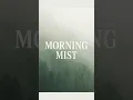 Transform Your Videos with MORNING MIST Color Grading in CapCut!