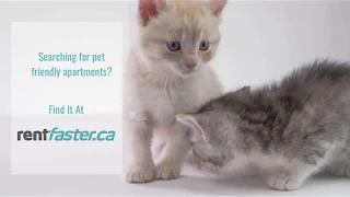 Rent Faster - Pet Friendly Apartment