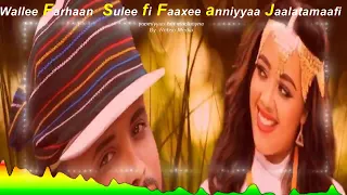 farhaan sulee fi faaxee anniyyaa wallee jaalatamaafi ergaa cimaa qabu by robso media