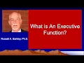 What is an Executive Function