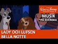 Download Lagu Bella Notte | Lady och Lufsen | Disneyklassiker Sverige