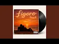 Figoro