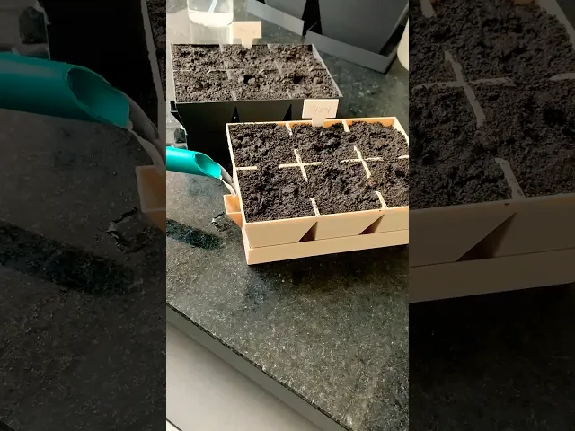 Garden Seedling Starter Kit video thumbnail
