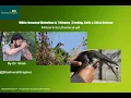 Download Lagu White-Breasted Waterhen | Wetland Bird with a Loud Call