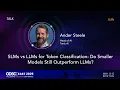 SLMS vs LLMs for token classification Do smaller models still outperform LLMs